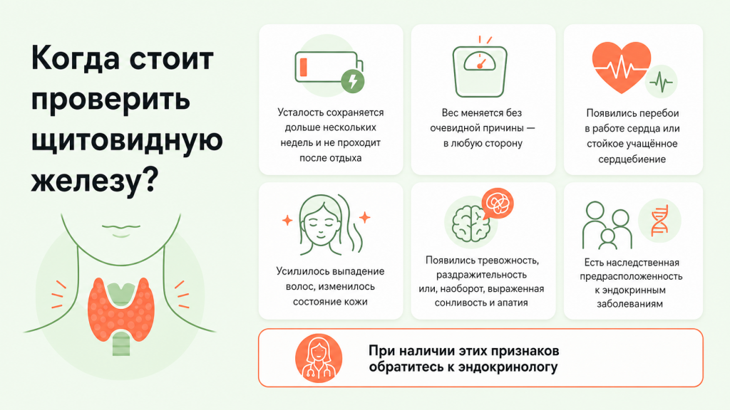 Когда проверить щитовидную железу